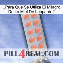 ¿Para Qué Se Utiliza El Milagro De La Miel De Leopardo 26